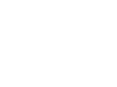 Metron